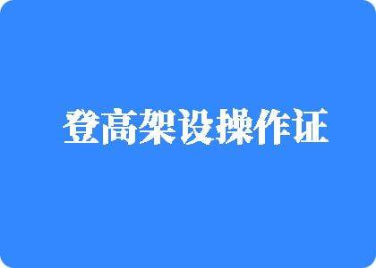 日屄日屁股登高架设操作证